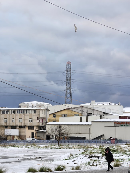 (降雪的土耳其)(照片來源:張家芳)