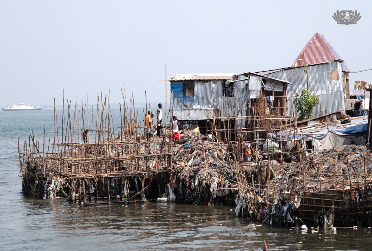 這一批土地就是被生活的苦逼到了角落，用盡全力長出來的空間。