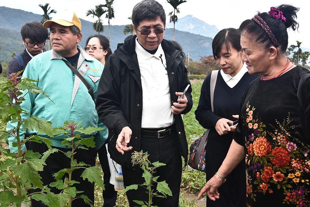 農業生醫團隊免費輔導花東農民栽種、加工、行銷，幫助小農改善生活。