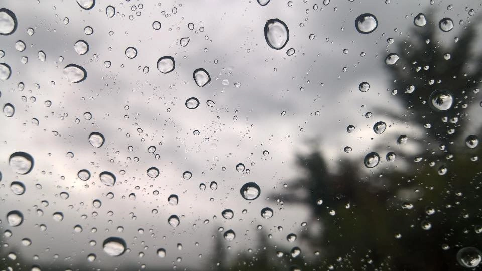 最近常下雨，身體容易因濕氣而變得沈重，加上天氣又忽冷忽熱，免疫系統容易出問題。