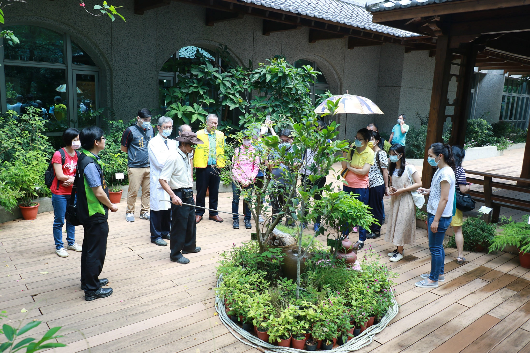 臺中市藥用植物研究會前理事長林進文作閉幕導覽，為「大坑藥用植物特展」點下完美句點。