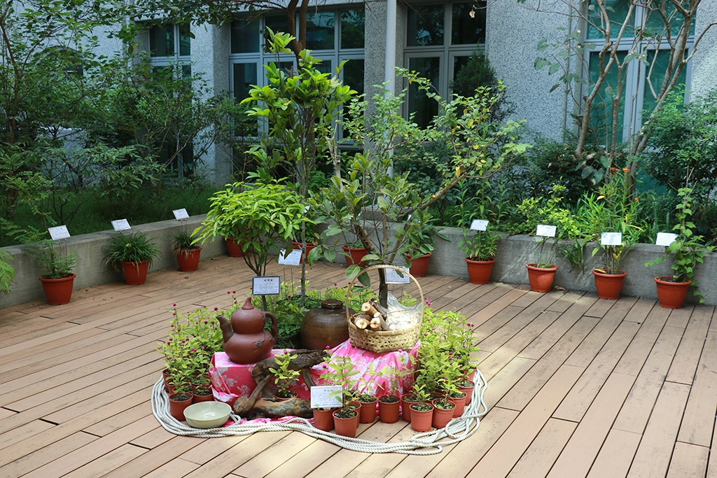 「大坑藥用植物特展」會場一景。