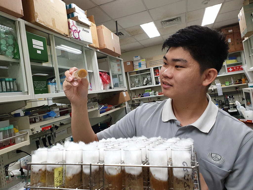 Anthony選擇五年一貫繼續研讀研究所，今年畢業獲得最佳學科獎(第一名)。