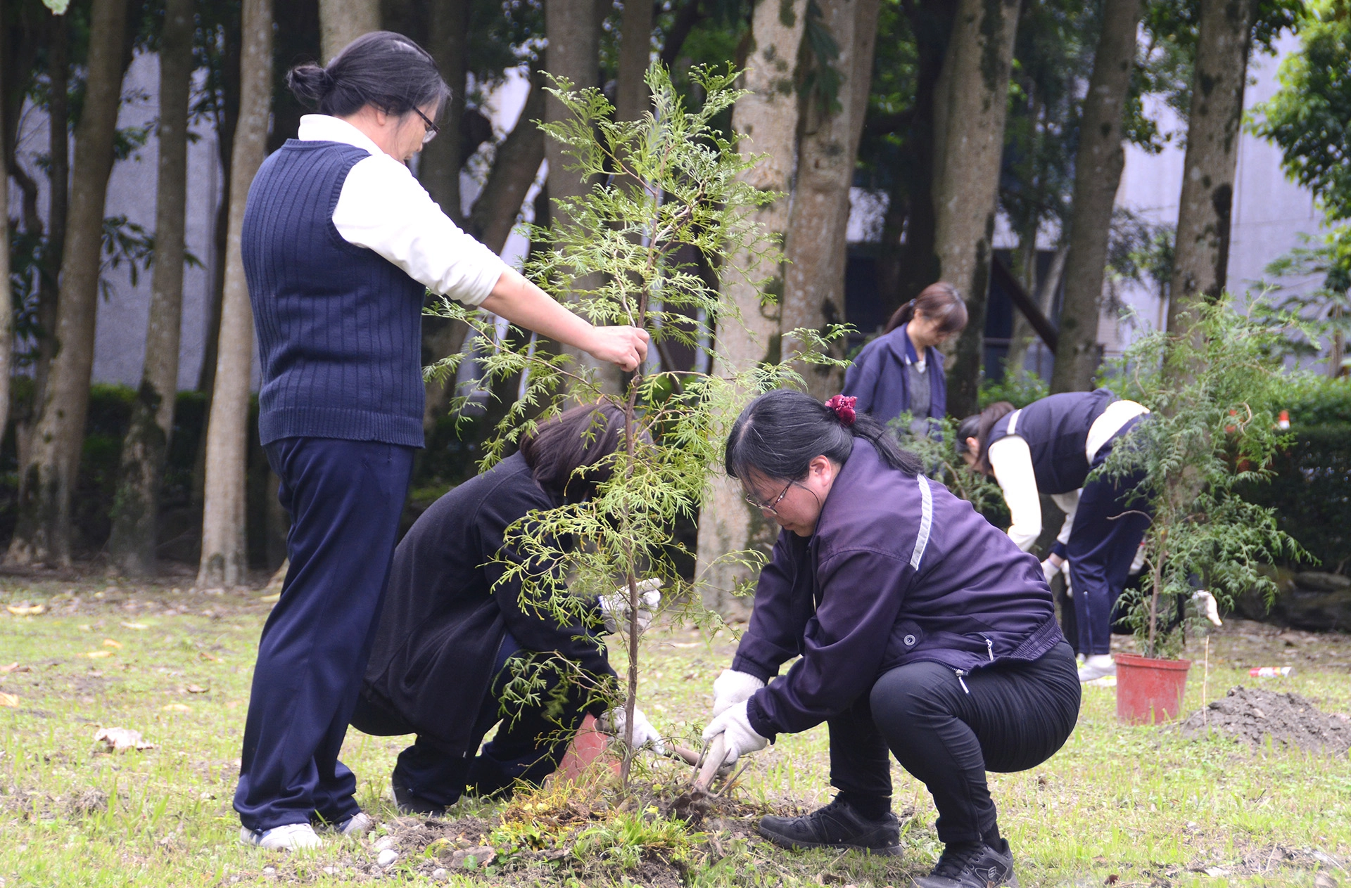 慈濟科技大學師生種下12株肖楠、6株落雨松。