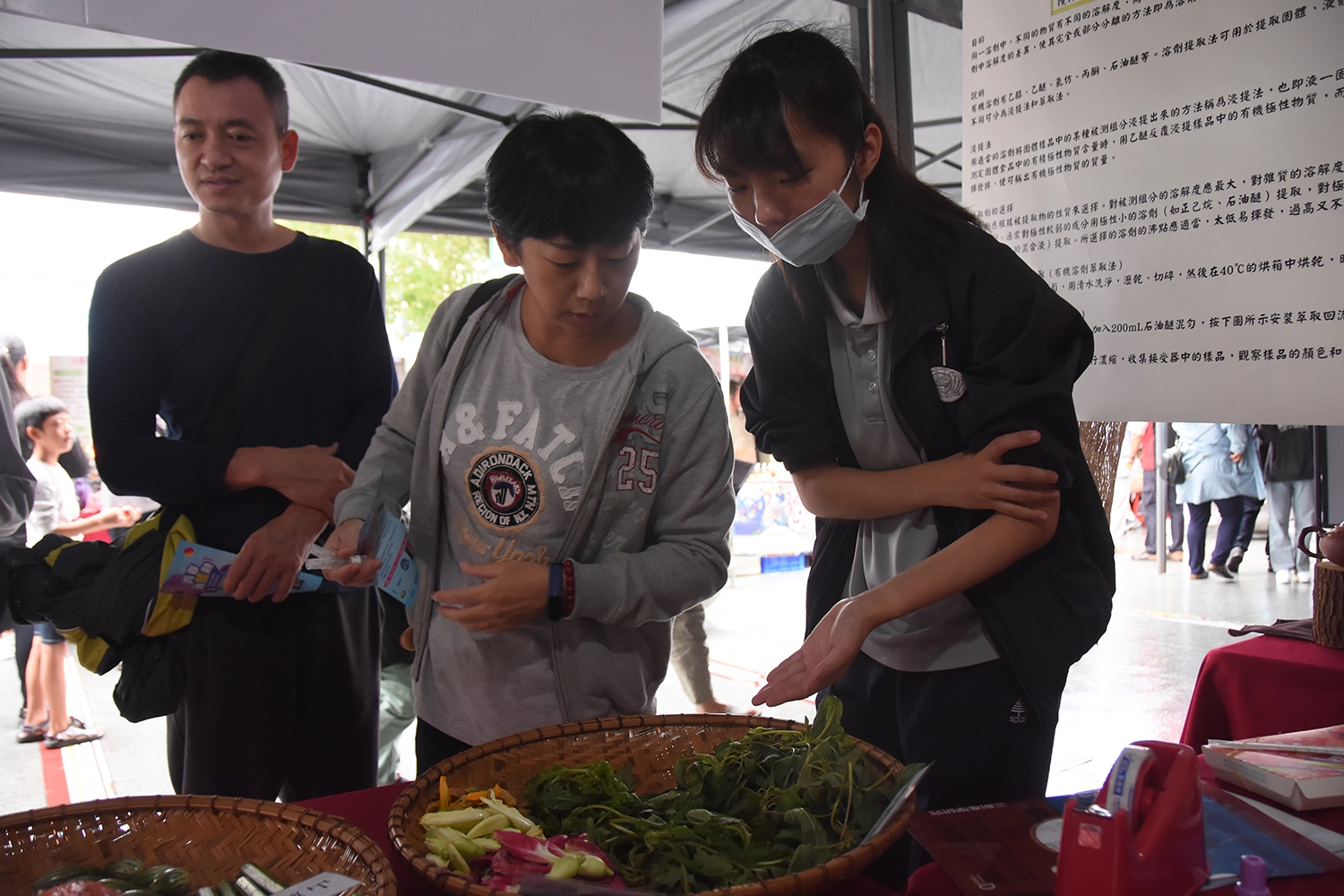辨識原住民植物、品嘗野菜。