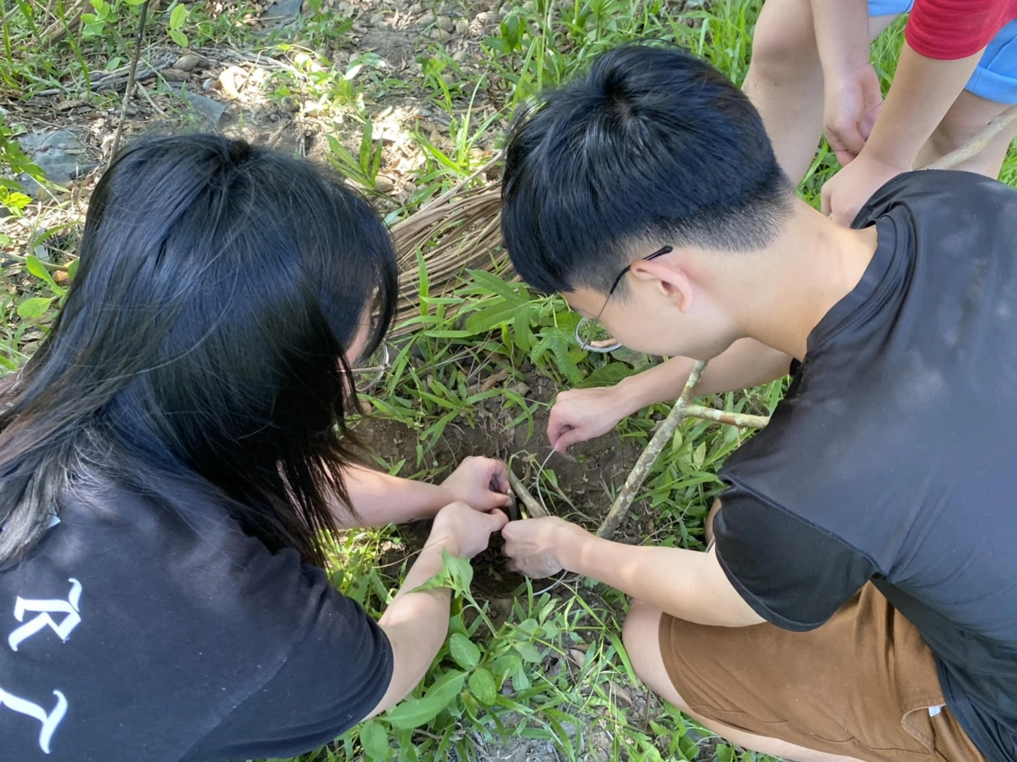 學生齊力合作裝設傳統陷阱。