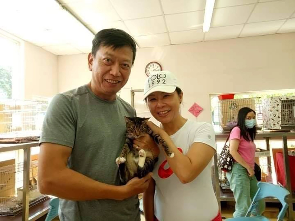 小虎於中和動物之家就遇到詹小姐認養。