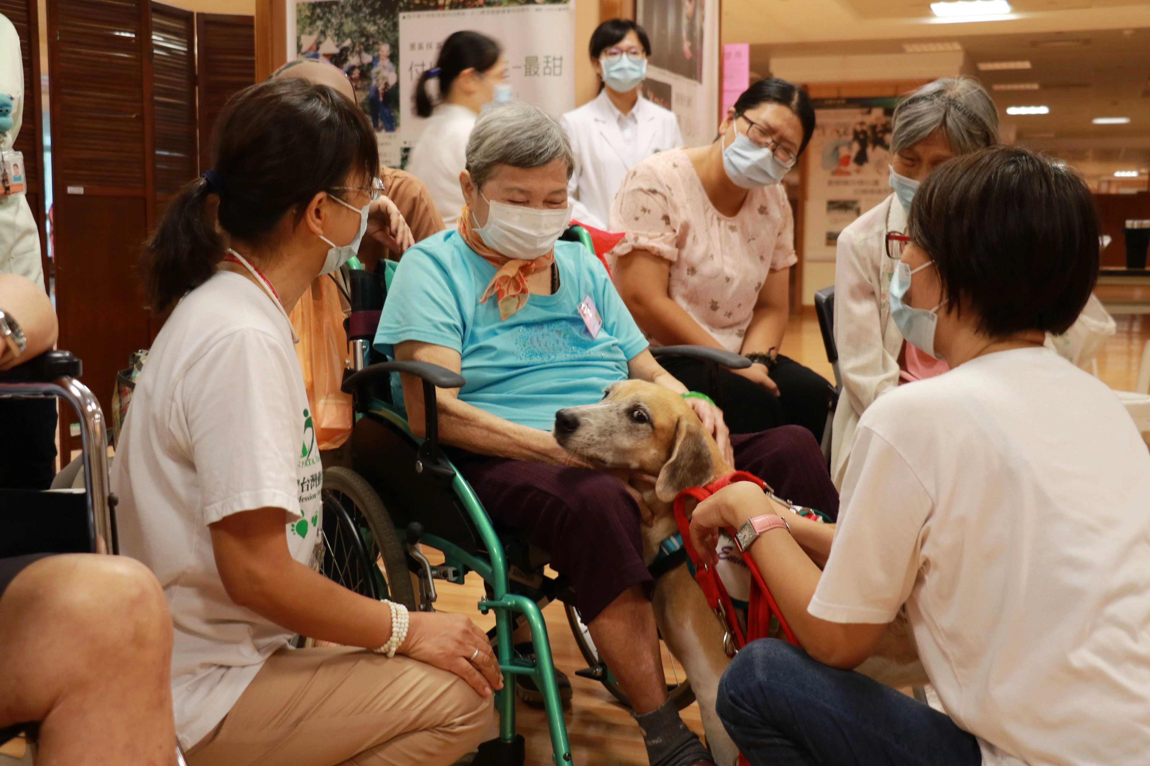 治療犬一出場立刻擄獲大家的心。