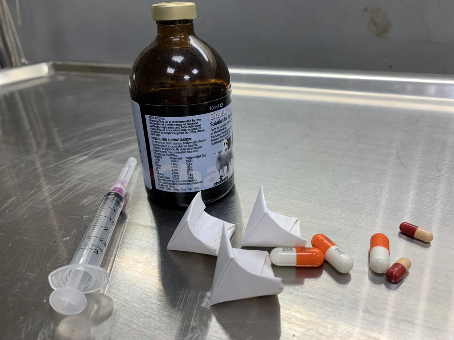 積極的藥物治療為生病貓咪康復之道。