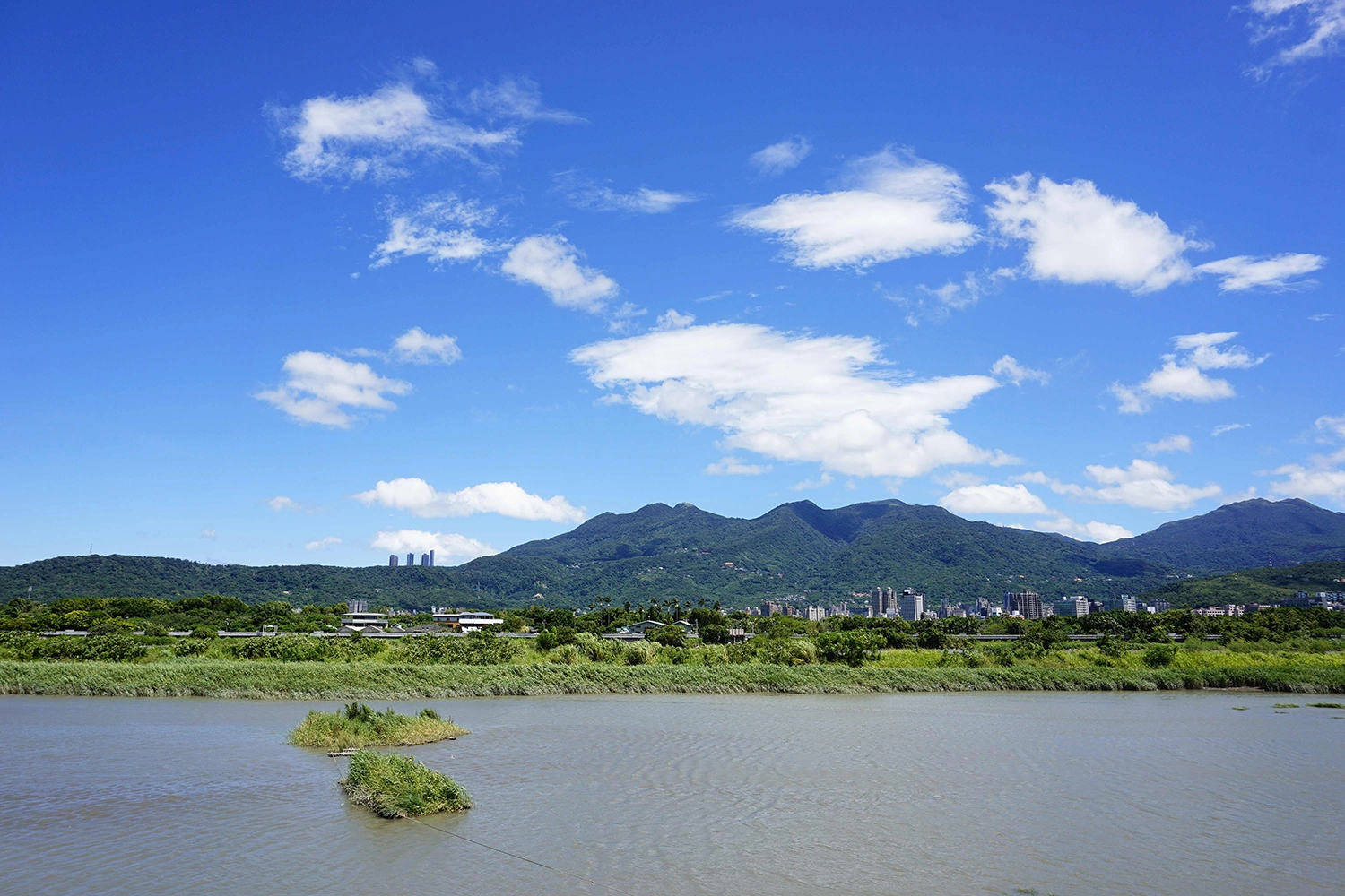 社子島濕地。