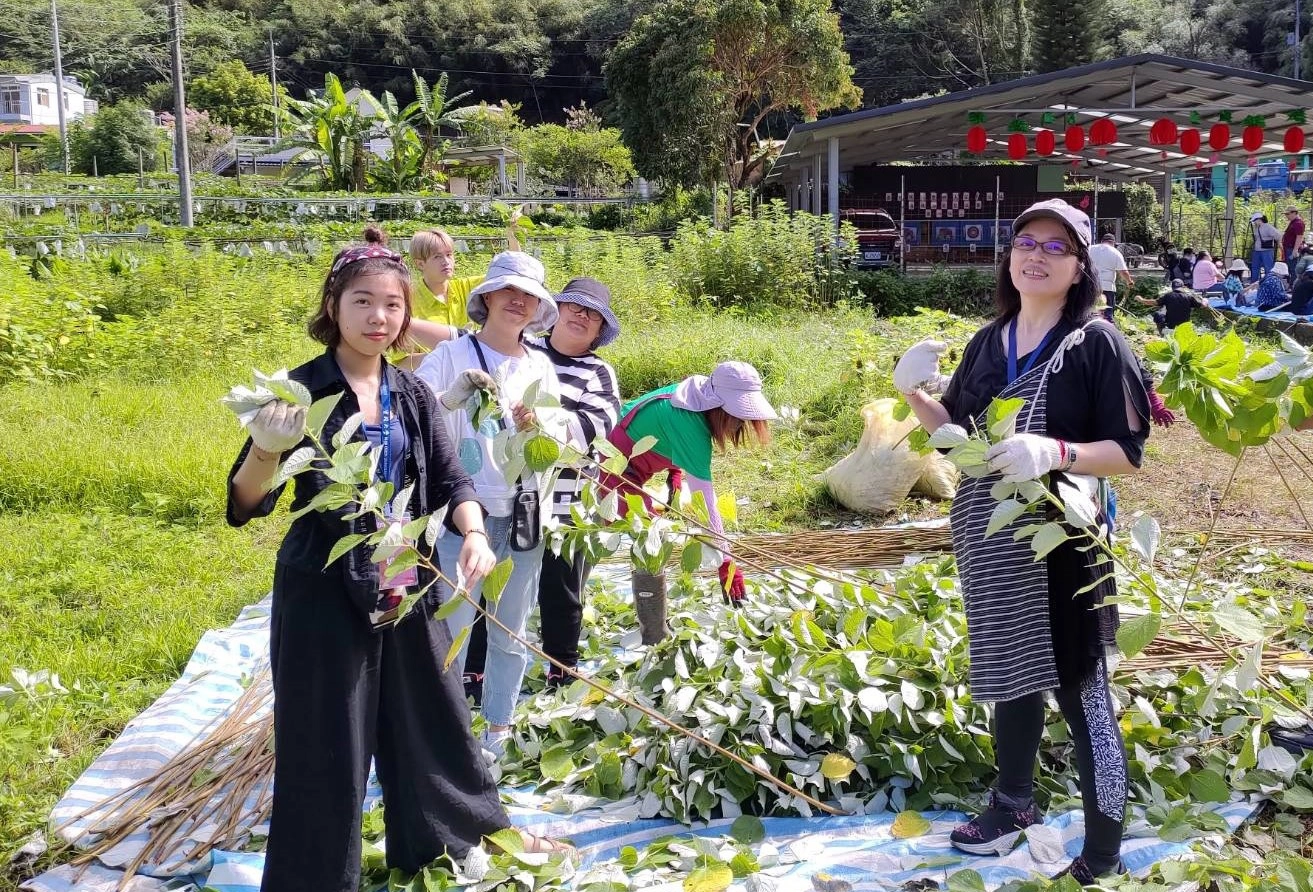 實踐大學帶領原民學生至部落踏查，學習取得織布原料，透過瞭解自身原民文化，進而思索返回原鄉就創業的可能性。(109年7月拍攝)