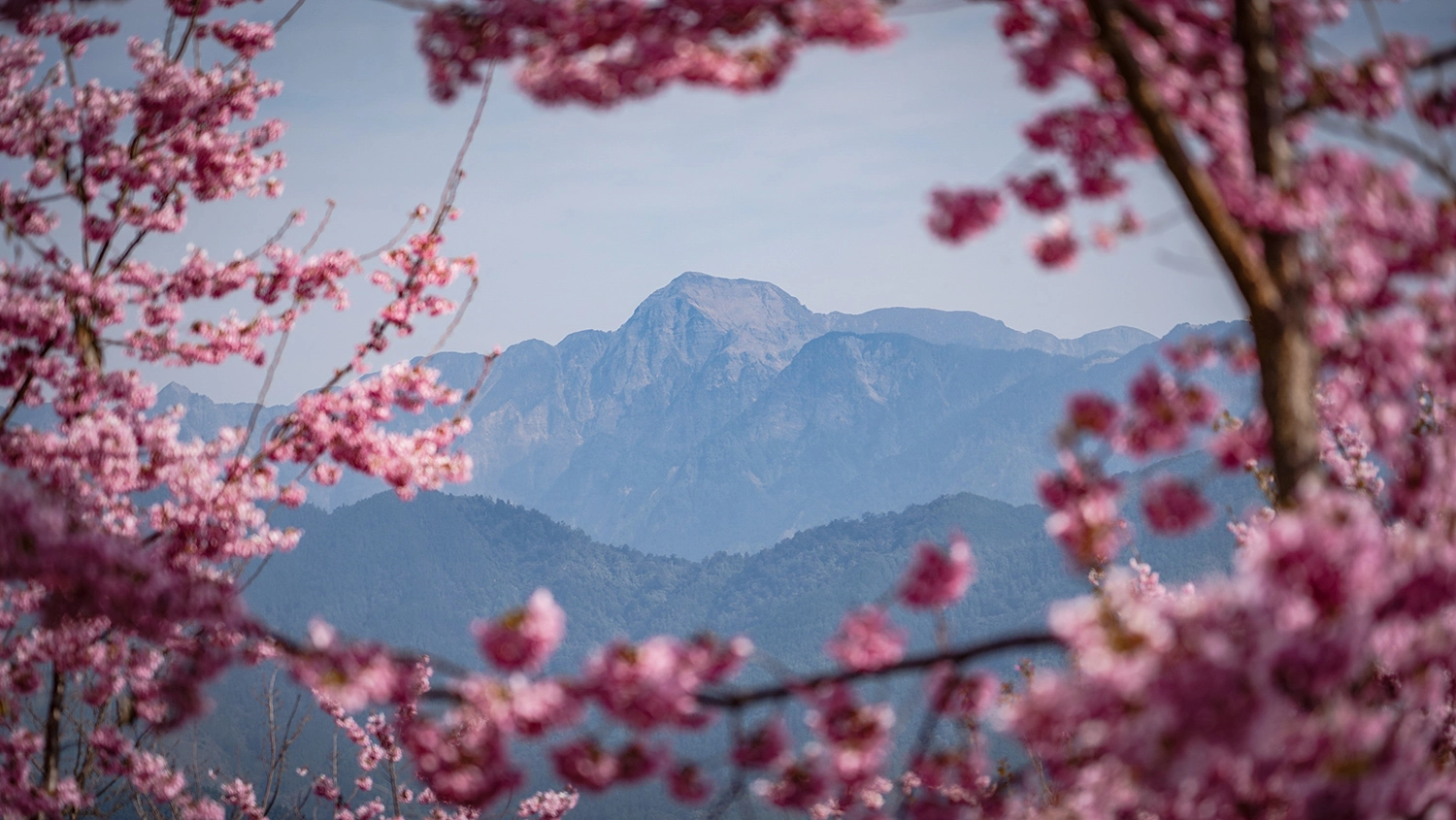 梨山福壽山農場美景迎曙光。