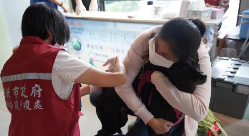 本處獸醫師施打狂犬病疫苗注射。
