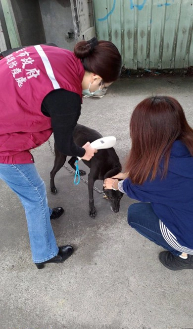 確認黑狗晶片是否為流浪犬。