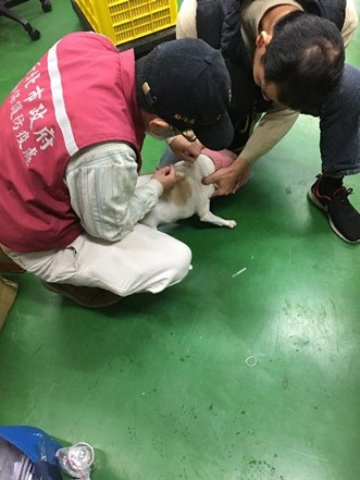 協助廠家犬隻植入晶片完成寵物登記。