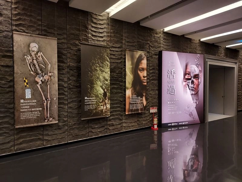 「我們活過：考古人骨遺骸暨墓葬展」展廳。