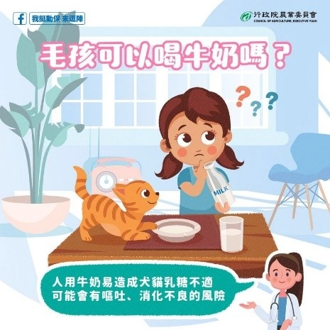 牛奶易造成犬貓乳糖不適，可能會有嘔吐、消化不良的風險(取自行政院農委會的我挺動保來逗陣粉絲專頁)。