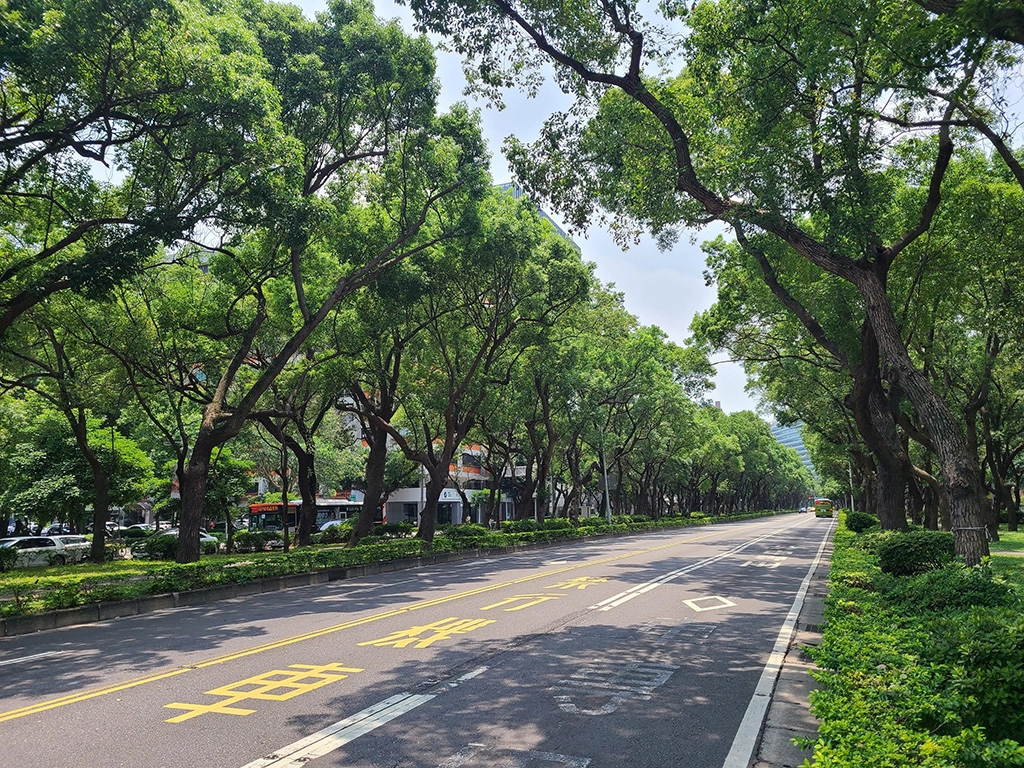 從松山機場進入臺北市區，第一個映入眼簾的林蔭大道就是敦化北路。