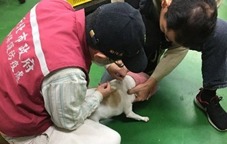 動保處協助植入晶片完成寵物登記。