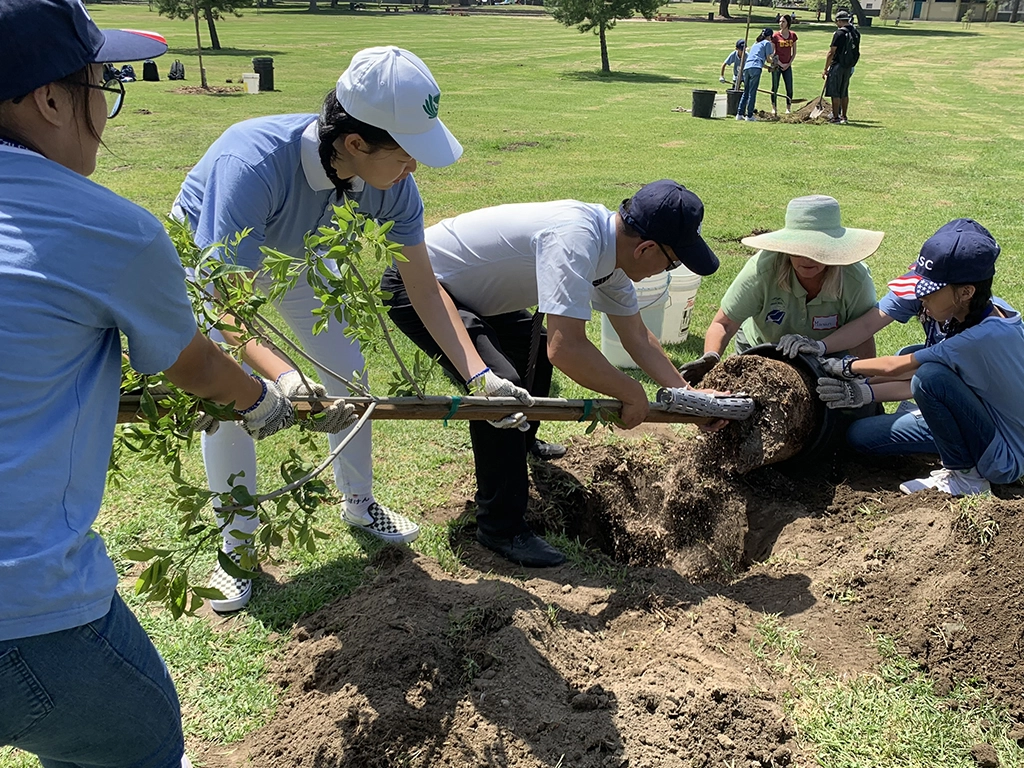 美國遊學團規劃萊湖公園種樹活動，孩子親手植下一棵樹，用行動實踐，一起保護環境。