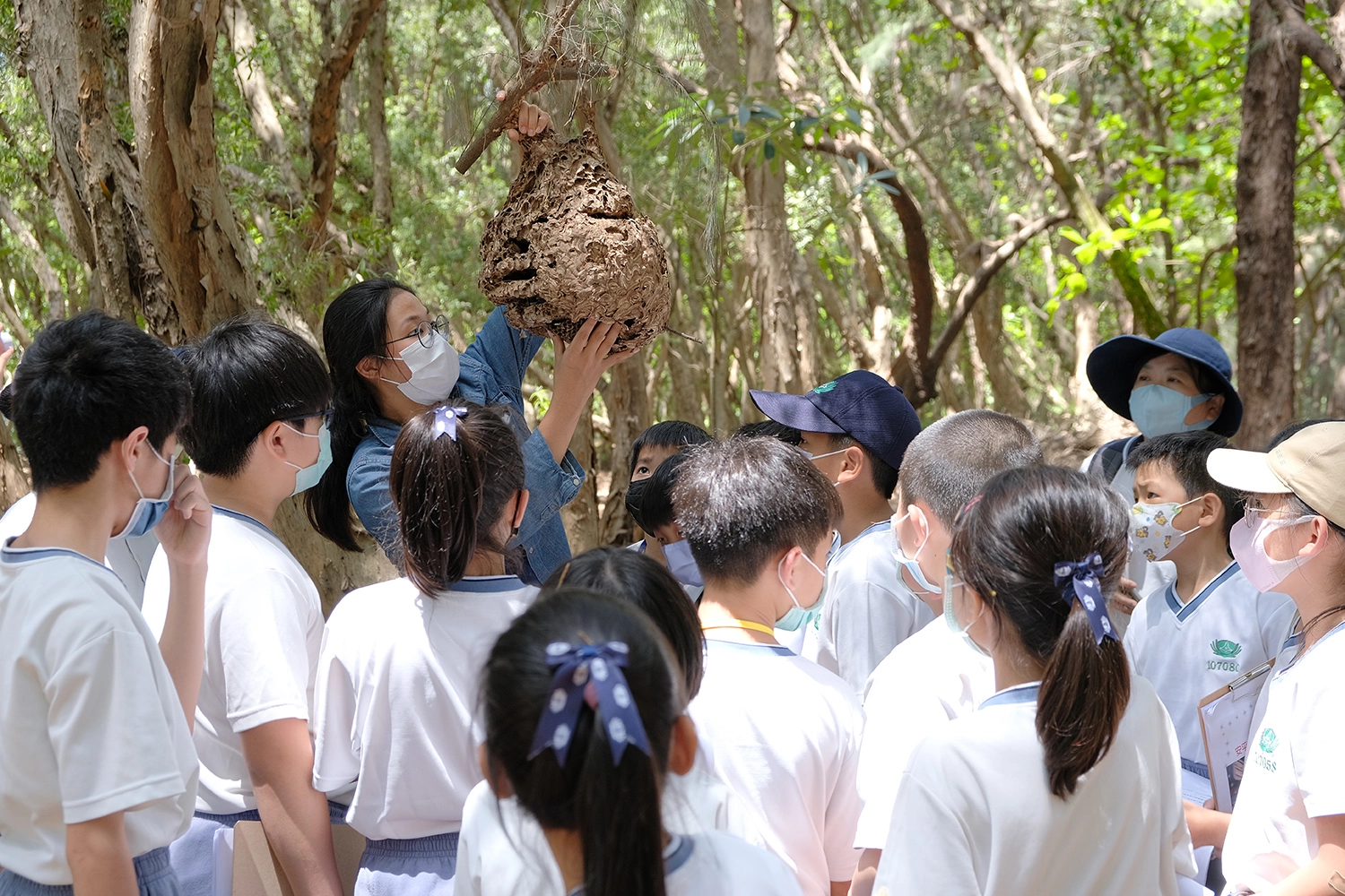 植物專家向孩子介紹，大自然中最厲害的建築師的作品(蜂巢)。陳天和攝
