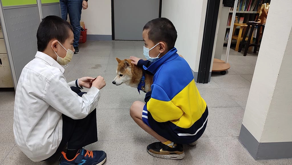 小銘指導另一位孩童如何撫摸布丁友善互動中增進社交能力。