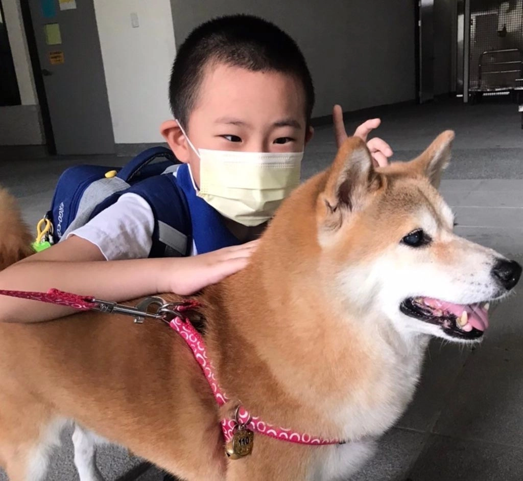 小銘喜歡擁抱布丁，心中吶喊：你是我的好麻吉!