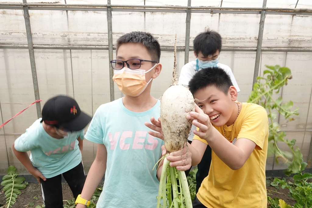 拔蘿蔔體驗。
