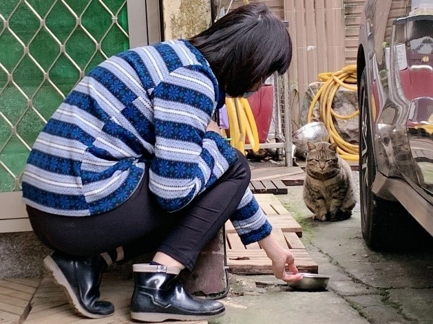 程小姐住家庭院旁是菜園，喵星人常進到車庫內玩耍。