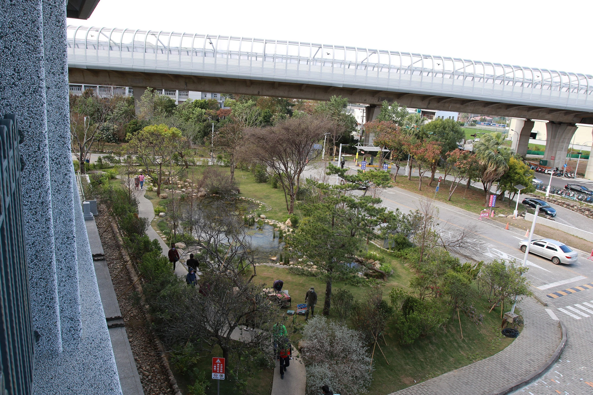 臺中慈濟醫院大門左側地坪生態造景。