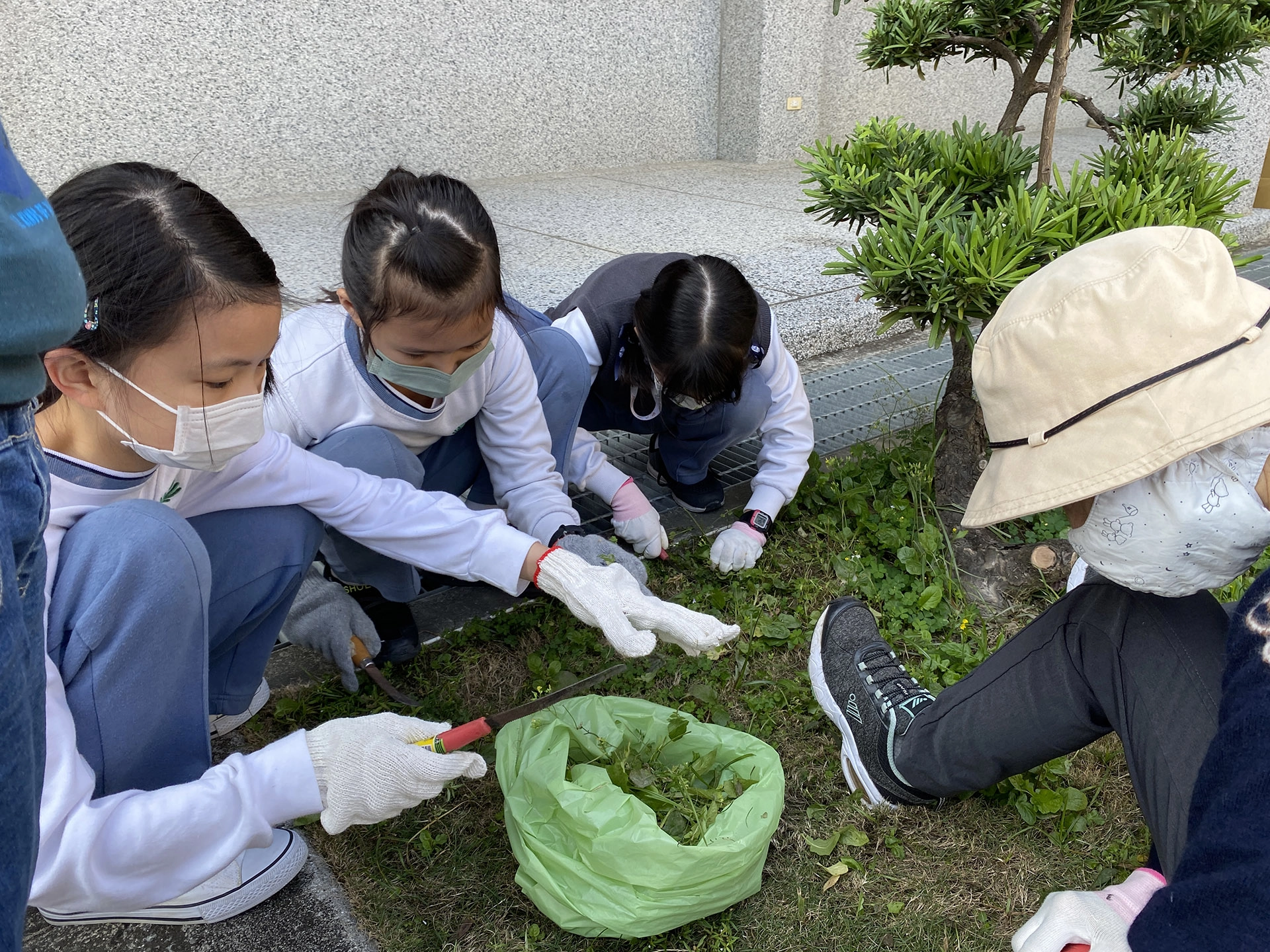 在安平聯絡處協助整理環境、草皮養護。
