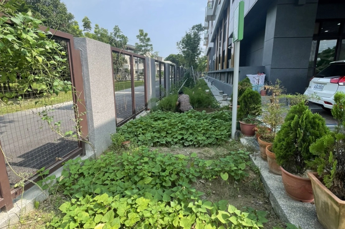利用空地變身開心農場