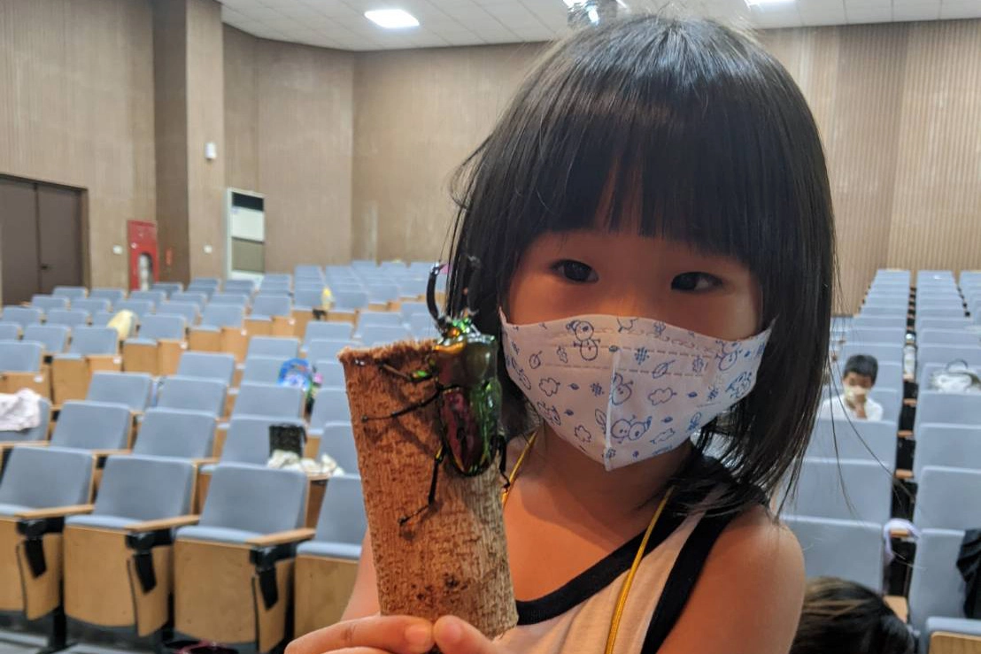 彩虹鍬形蟲