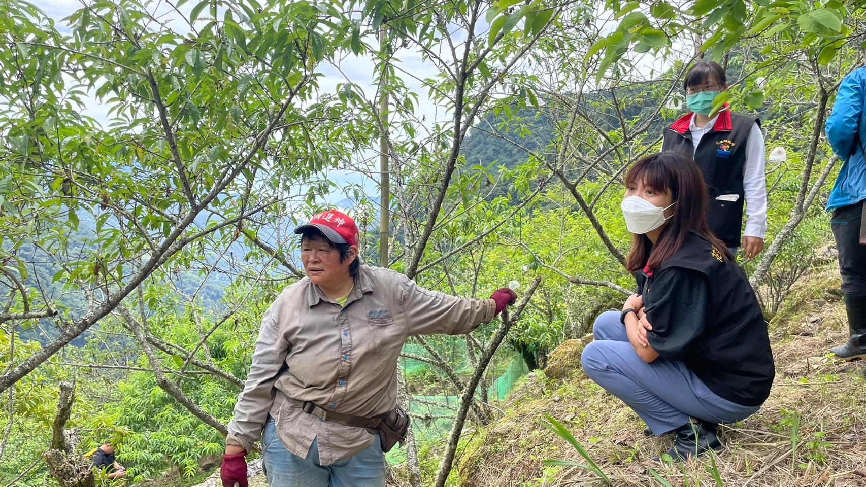 花蓮縣政府組勘災小組現勘秀林鄉水蜜桃及壽豐鄉紅豆等作物受災情況 協助農友儘早復耕