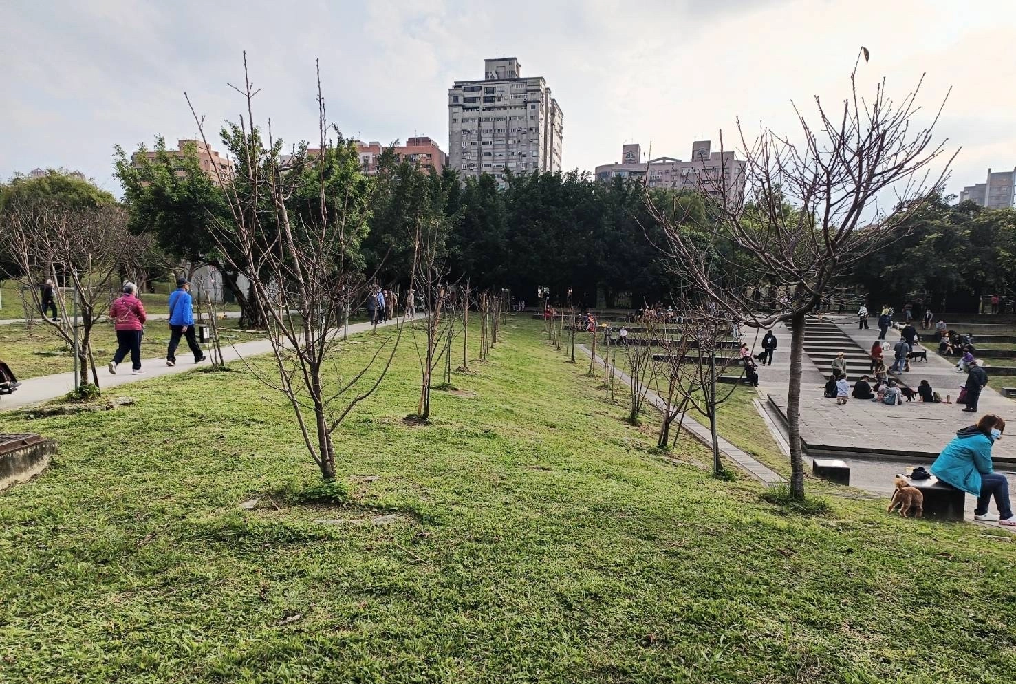 中和公園韌性都市林示範試驗區。
