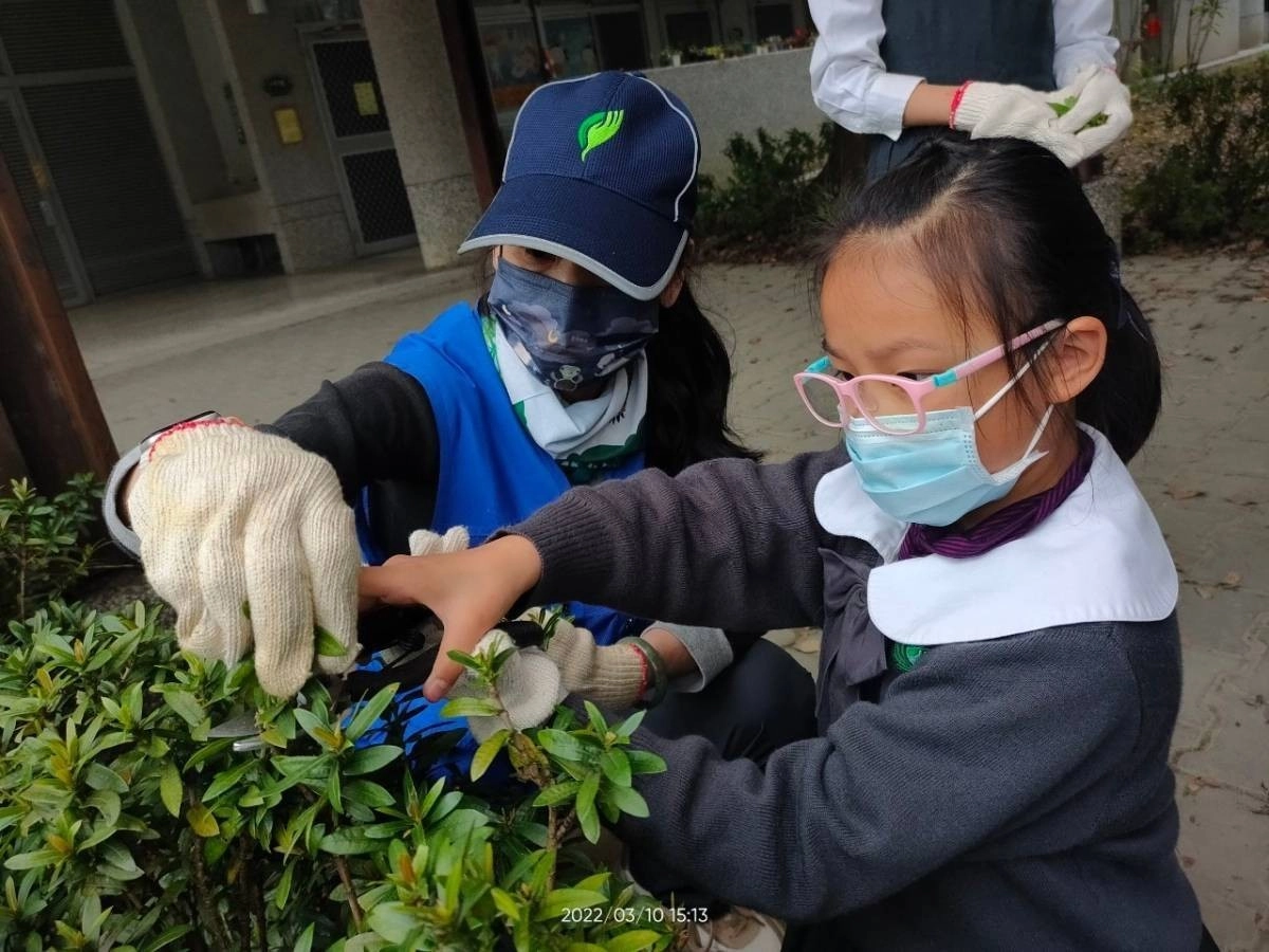 林管局阿姨指導學生如何修剪灌木叢