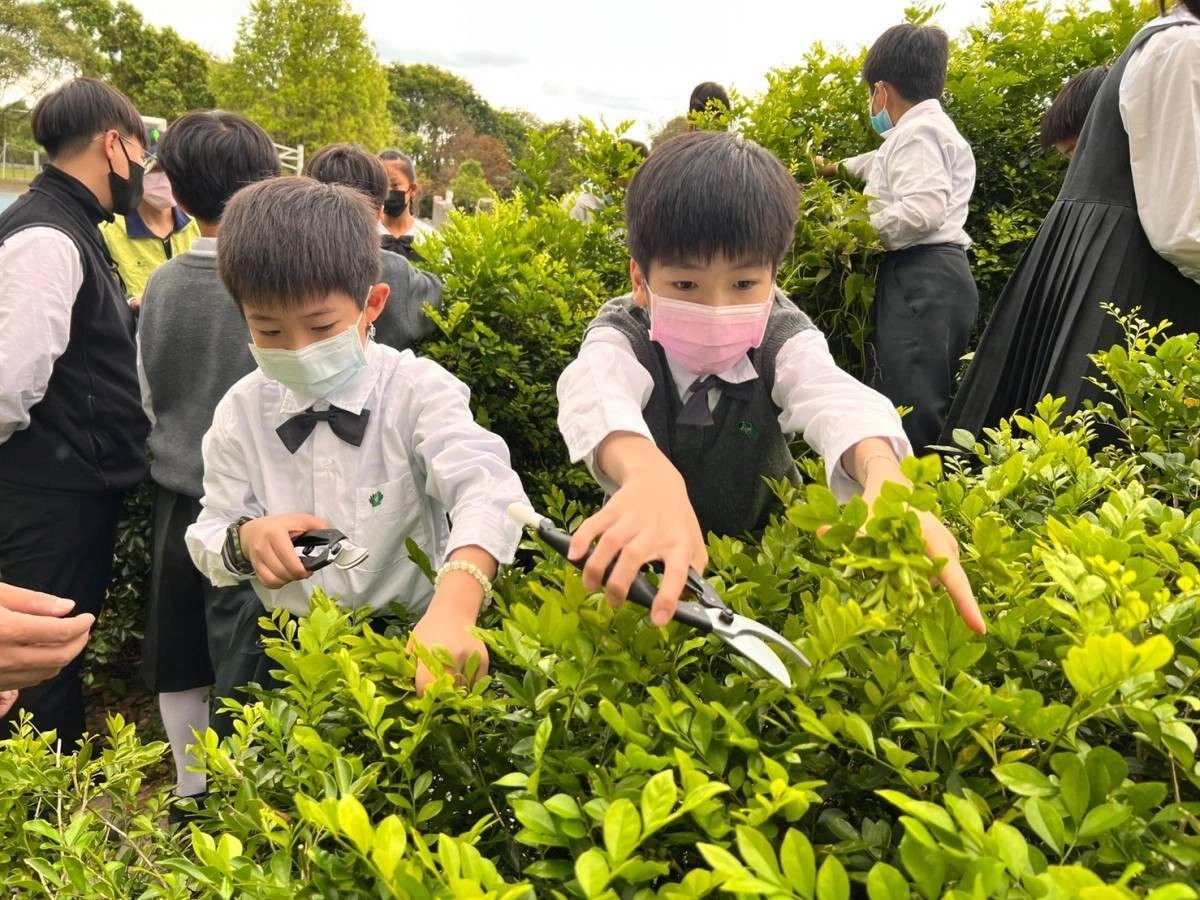 修剪灌木叢