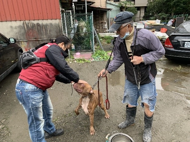 動保員陳美秀確認民眾飼養比特犬的狀況及宣導犬隻外出需繫繩及戴口罩。