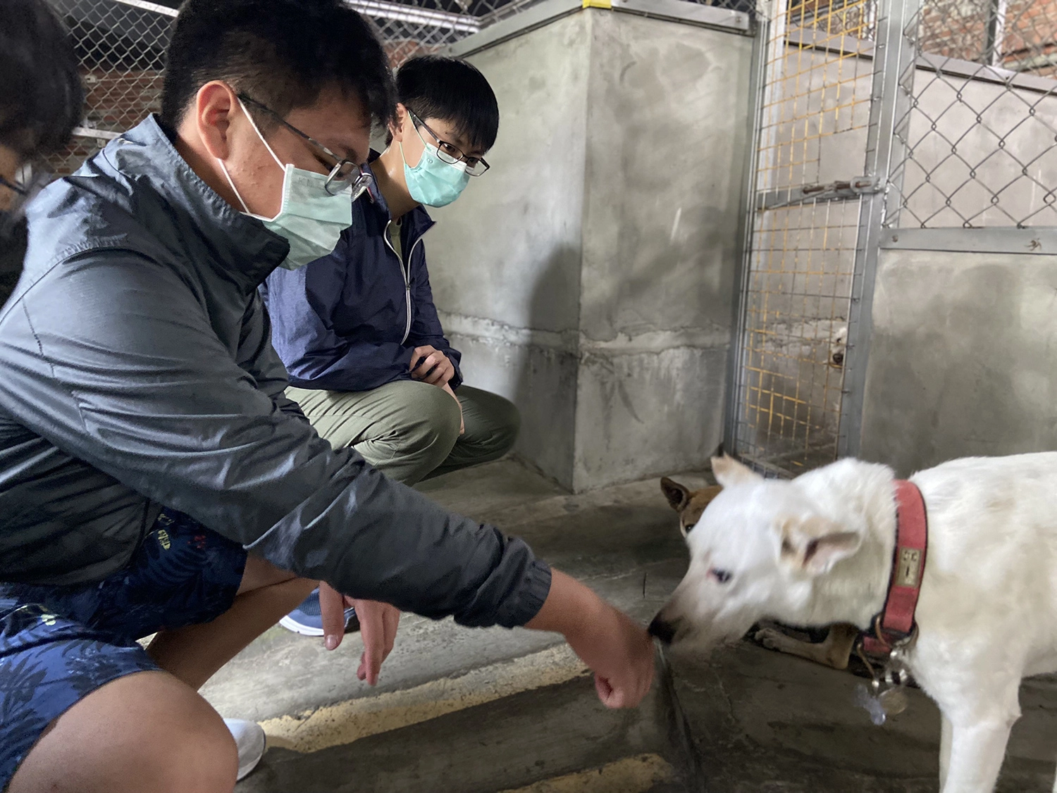 讓「豆腐」嗅、聞志工的手，建立關係。