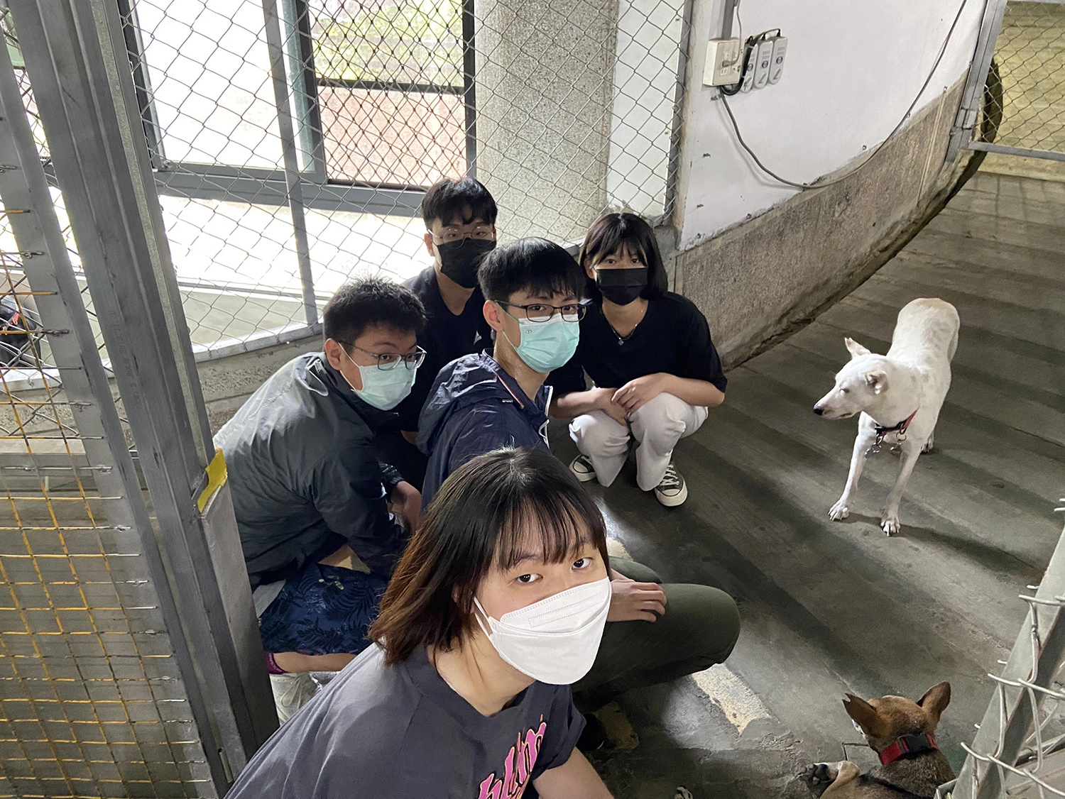 參觀各犬舍的生活空間，花時間和犬隻互動及培養信任。