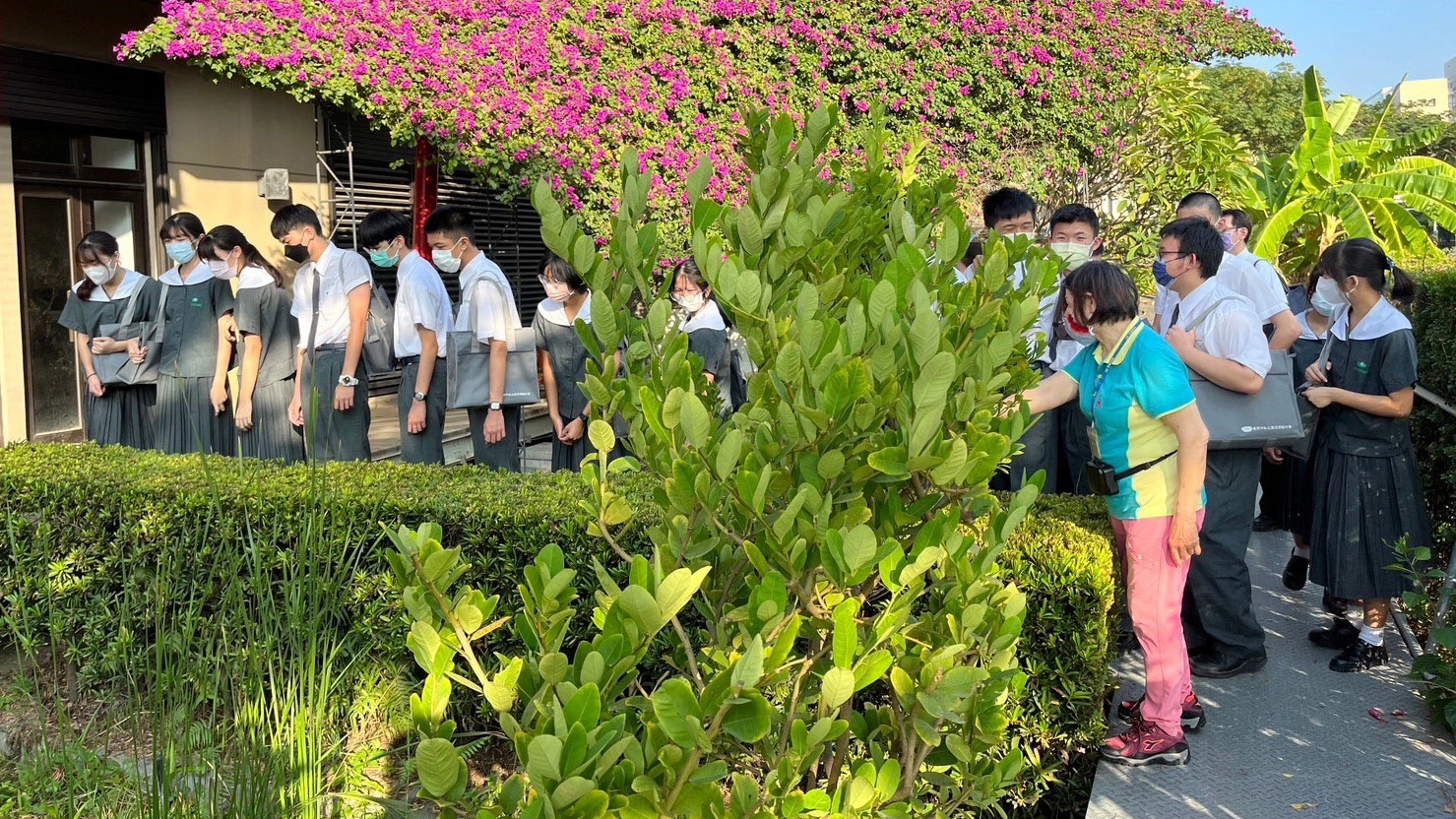 生態水池，可以降溫，也提供許多小生物棲息。