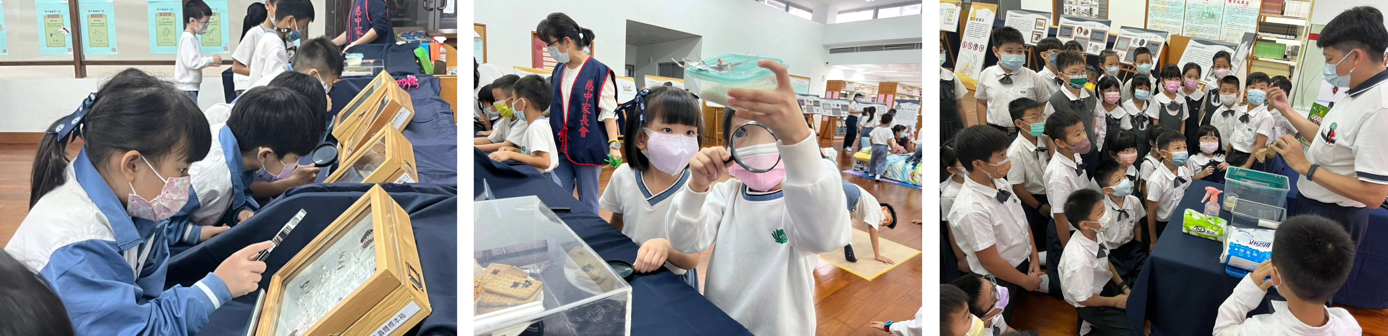 學生們仔細地使用放大鏡觀察節肢動物標本。／學生們仔細地使用放大鏡觀察節肢動物標本。／學生專注聆聽蟑螂達人政宏老師說明並示範如何更清掃蟑螂便便。