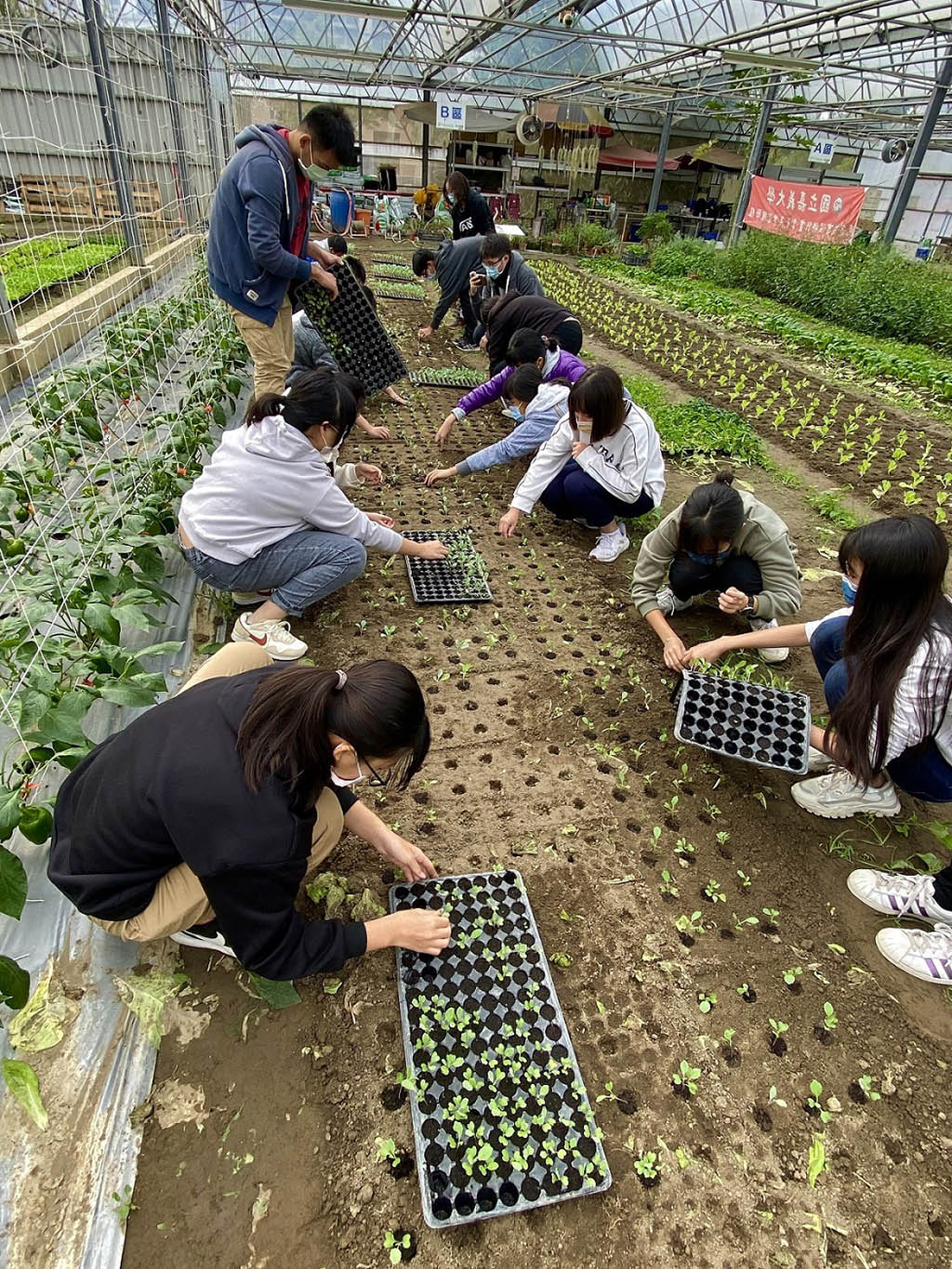 臺南市南光中學參訪國立嘉義大學農推中心並進行穴盤移植實作。