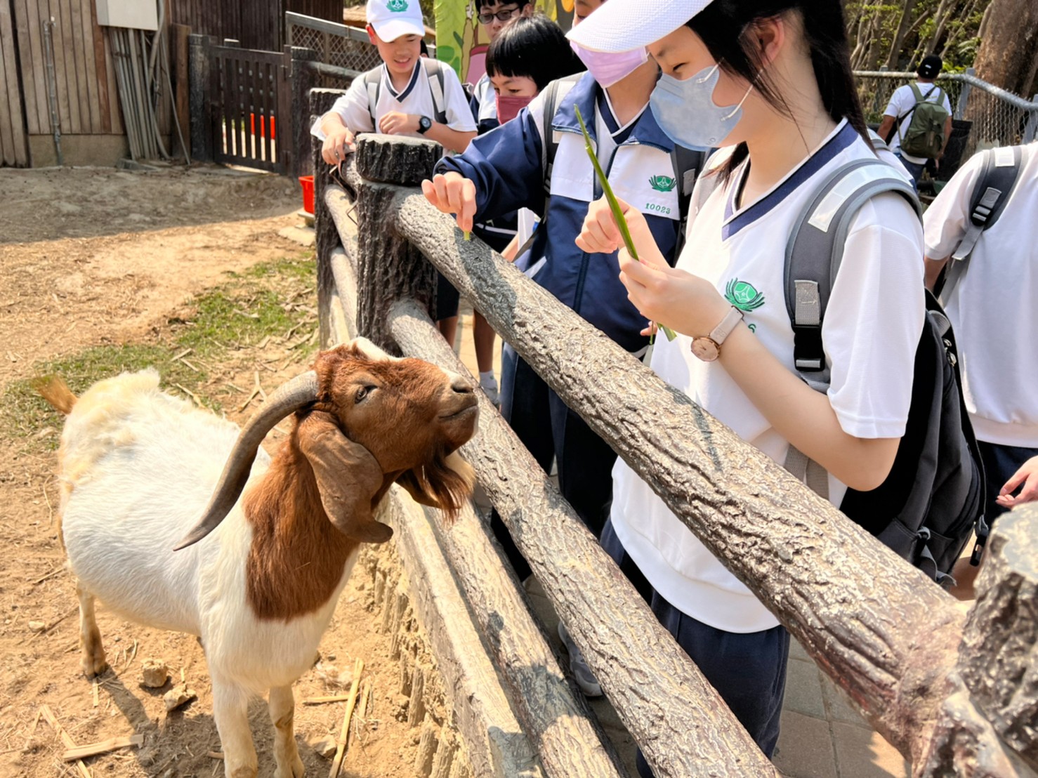 壽山動物園導覽人員讓同學與動物們近距離接觸。