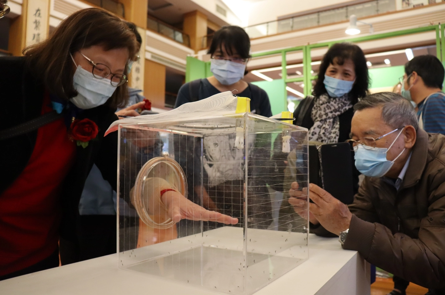 本次除了主題內容外，也展出新興的「沃爾巴克氏菌-登革熱生物防治法」介紹，藉由模型及標本觀察雄、雌蚊特徵差異與習性，帶領觀眾認識防疫新科技。