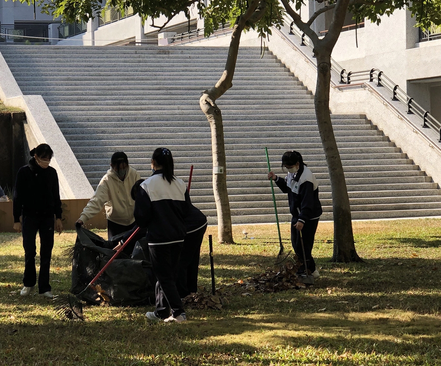 掃除落葉還給草皮自在的伸展空間，猶如掃除內心塵垢，重新出發。