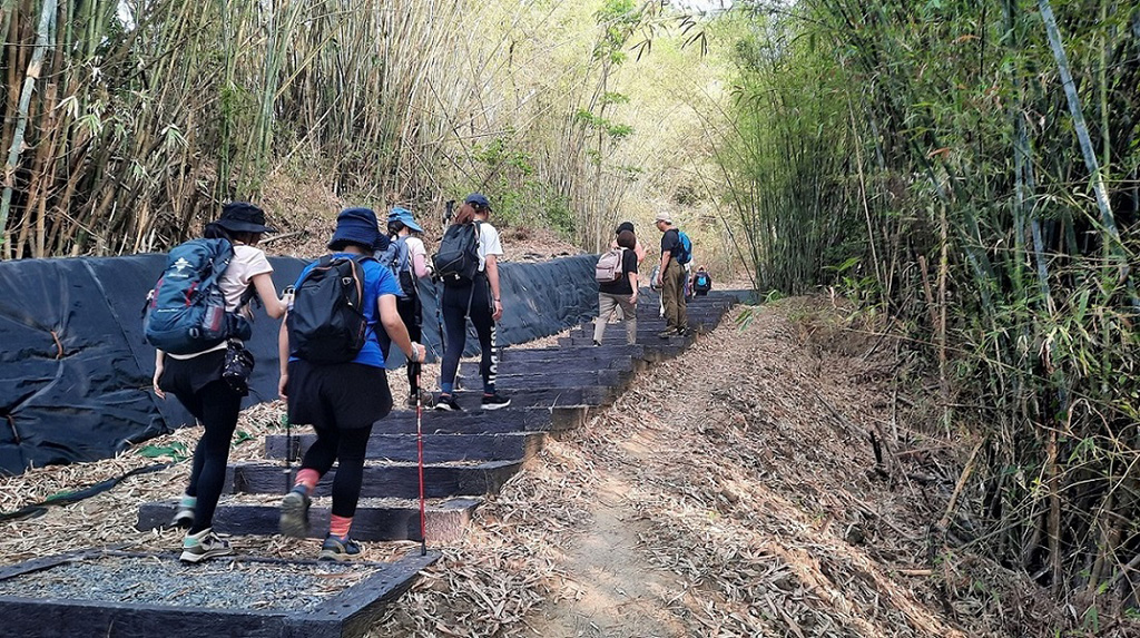 林安森林公園登山步道全新整修完成（南市觀旅局提供）