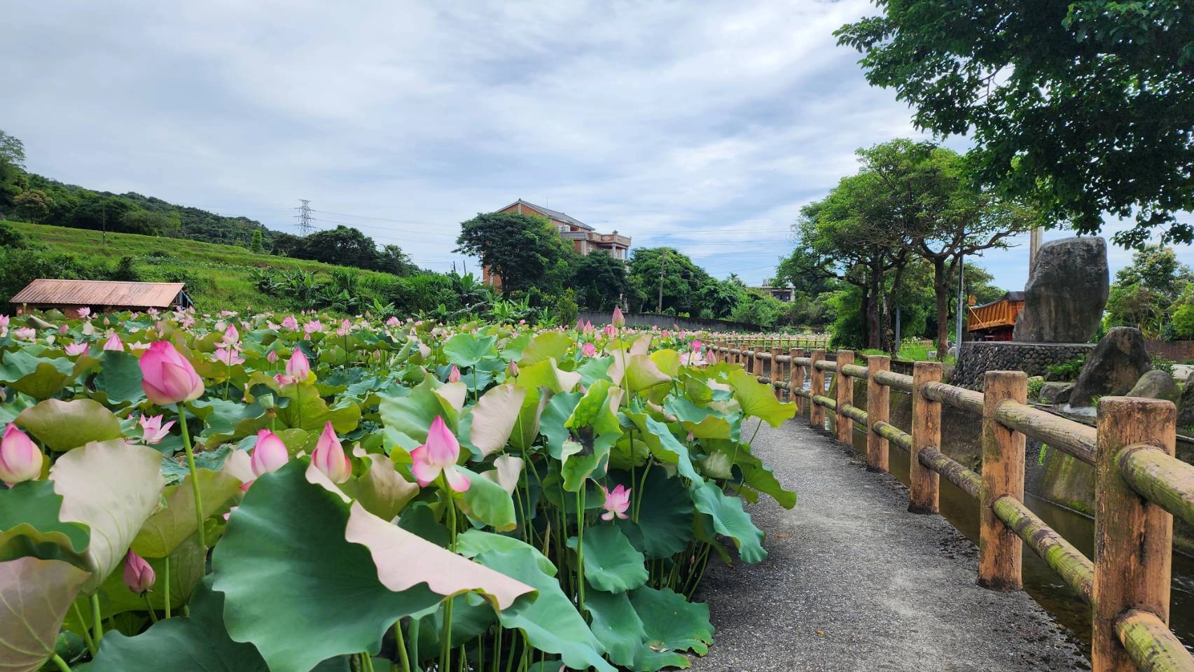 六三社區鄰近清水農地及朱銘美術館，「荷花田間的農村」是其代表景色。