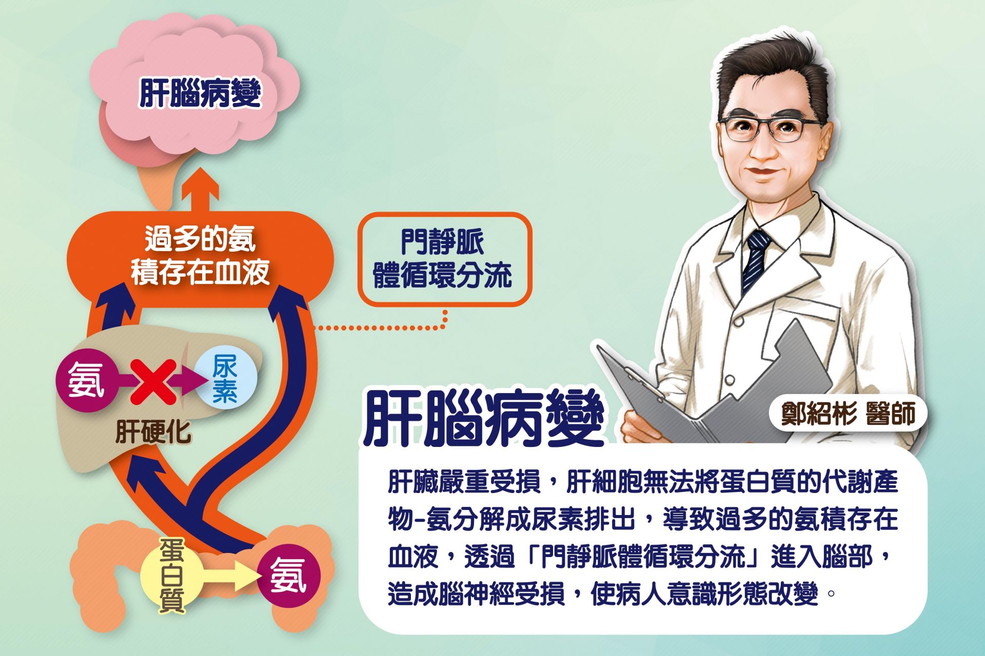 肝腦病變機制圖。