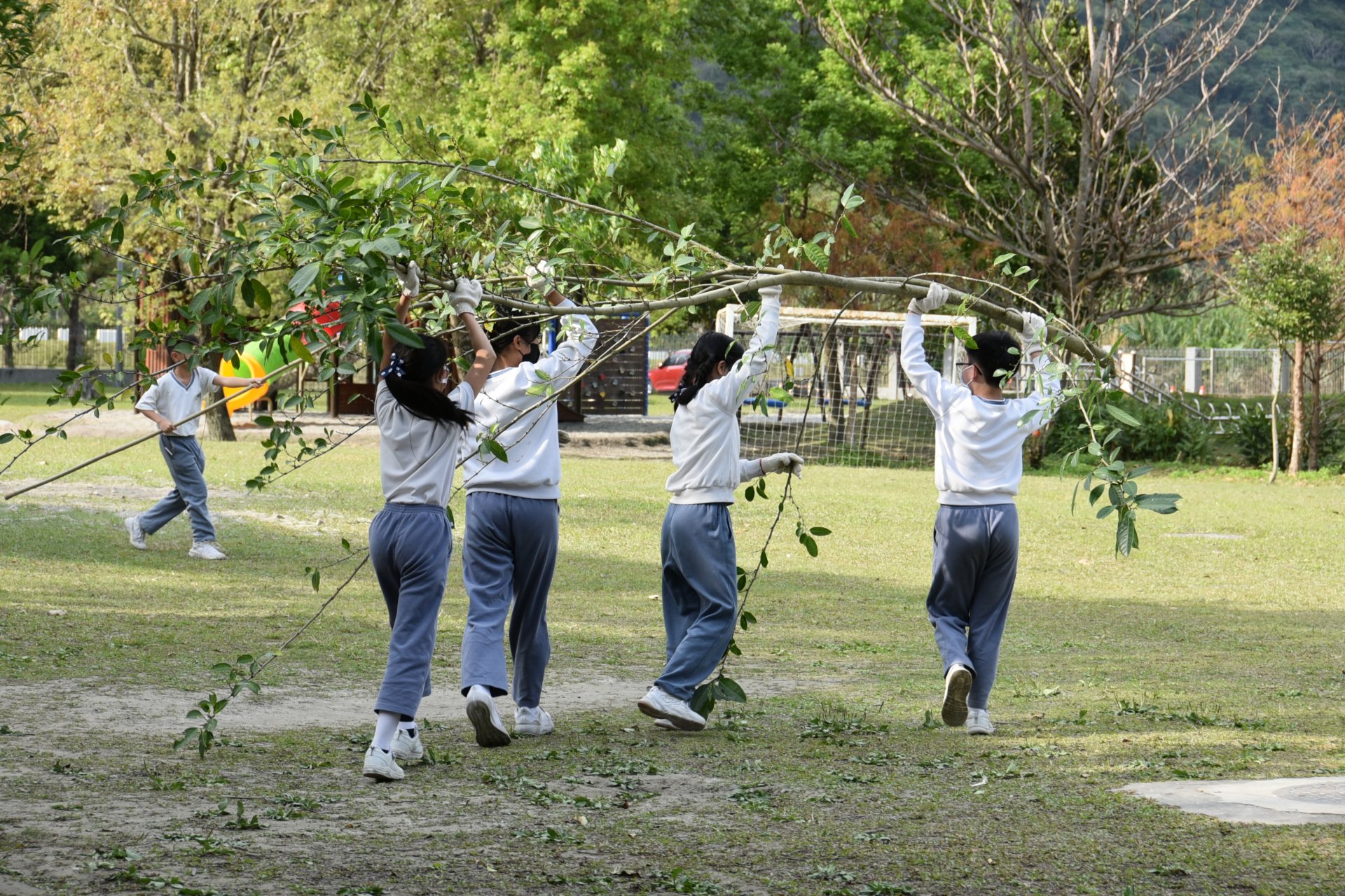 護樹後五年級學生一起將樹枝送到堆肥區